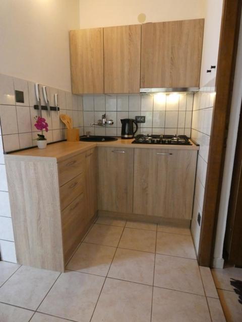 Apartmani Marija Ribarica Bagian luar foto